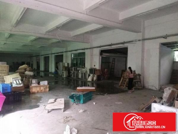 坑梓金康路59号一楼厂房800平米