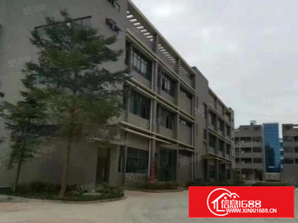 形象好带牛角地坪漆，石排新出标准面积1500平方出租