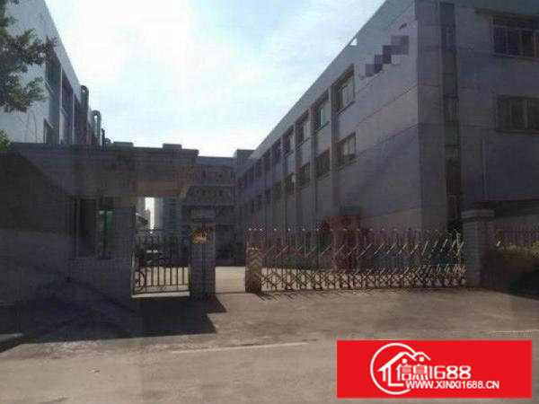 观澜松元原房东分租楼上带精装修1500平方