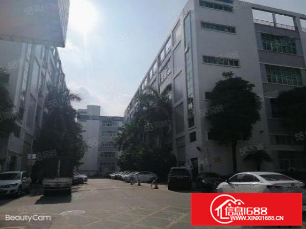 大浪华繁路边大型园区300平带装修厂房出租停车位充足