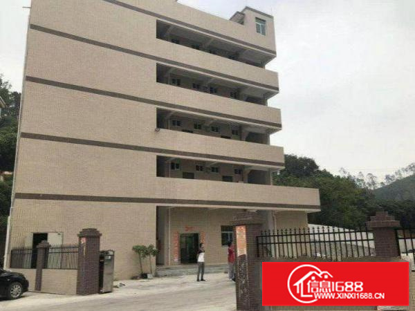 原房东一楼无公摊960平可分租