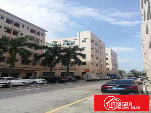 坂田原房东一楼280平258平，2楼1000平，大小分租。