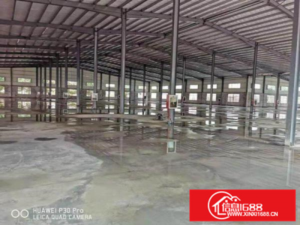 独门独院！秋长白石一手房东钢结构厂房出租