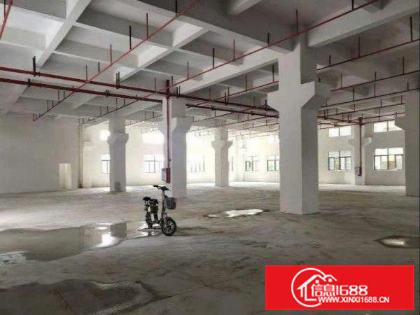 长巷原房东出标准厂房三层面积共3300平方，空地超大
