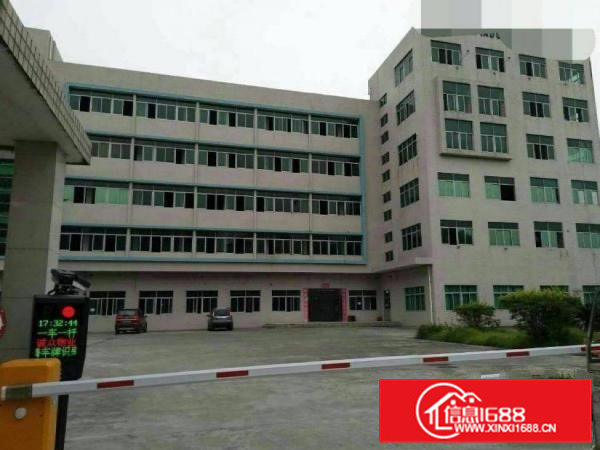 横沥村尾原房东一楼1100平方厂房出租实际面际