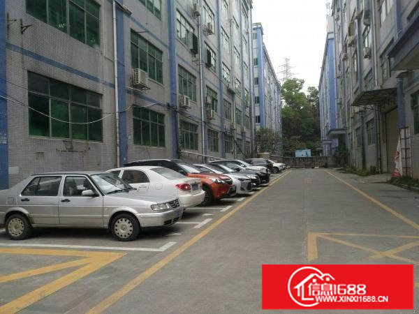 坂田上雪科技园带装修200~2000平，适合电商外贸电子等