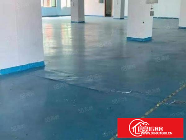 虎门龙眼工业园新出楼上整层1650平厂房出租可办环评可分