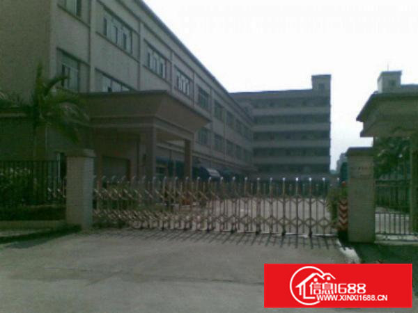 高埗工业区独院标准厂房仓库一楼2000平方出租带卸货平台