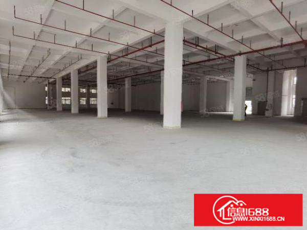 凤岗镇金凤凰层高6.5米360度充足采光楼全新厂房出租