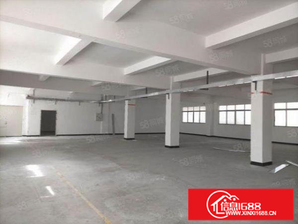 大朗镇洋坑塘经典小独院出租