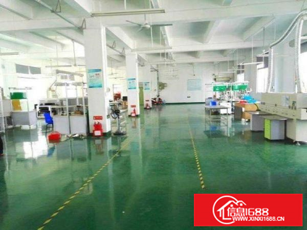 潼湖标准工业园区厂房一楼800平方，原房东招租！