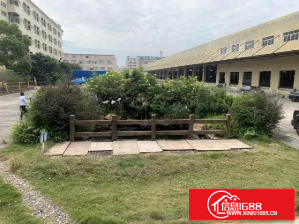 独院厂房出租61000平方，带卸货平台，高度10米，可分租