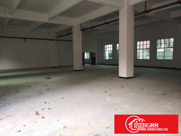 惠阳秋长混凝土单一层独院厂房2500平空地大