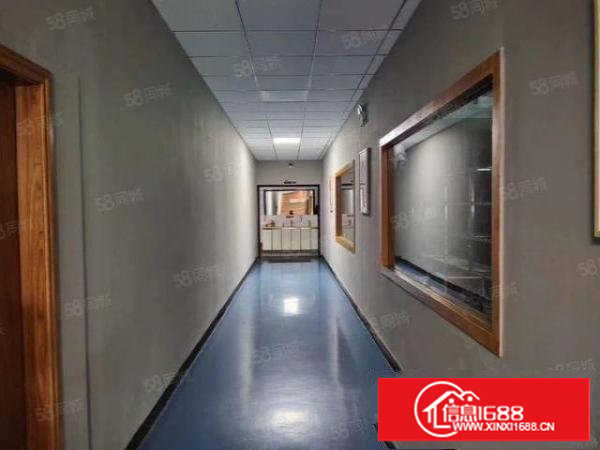 厂房出租东莞长安厦岗四楼整层1200平，豪华装修，光线充足