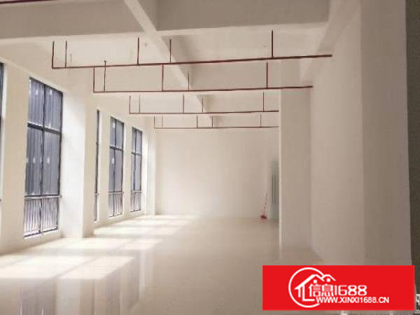 宝龙高新区新出1800平办公大小分租