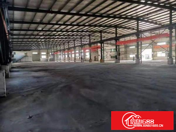 企石滴水9米独院单一层