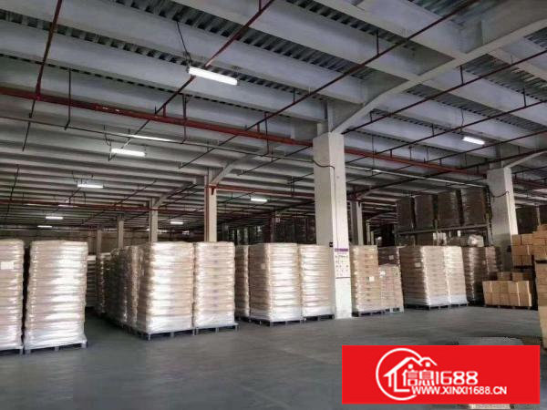 坂田五和大道独院红本钢构4000平出租，200平起分租