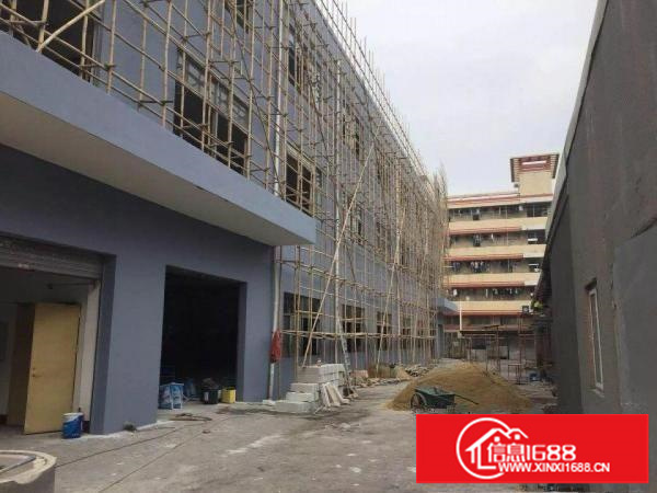 坑梓龙田工业区新空出一、二楼3500平方可分层招租