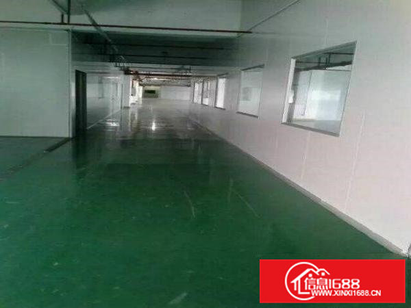 凤岗高速口新出1600平方带地坪漆带消防标准厂房