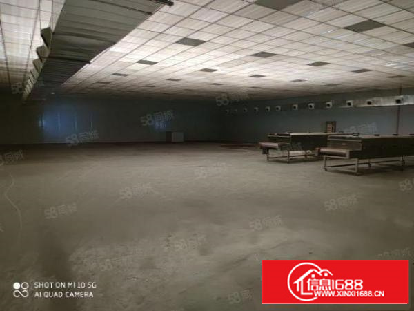 石碣新出原房东独门独院一层厂房全新装修带吊顶位置好可办环评