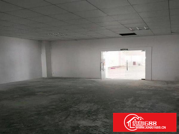 原房东标准厂房一楼980平方可分可整高度6米电80