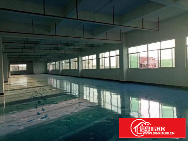 出租石排镇1000平方厂房带地坪漆，可分租，形象好，位置好