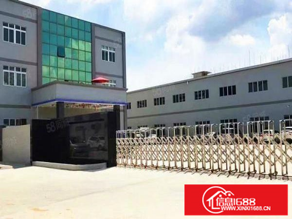 中高12米，大良凤翔独院3500方厂房，形象好，带独立办公