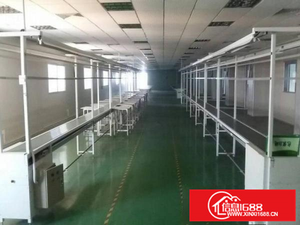 镇隆新出花园式红本独院一楼厂房3300平米出租