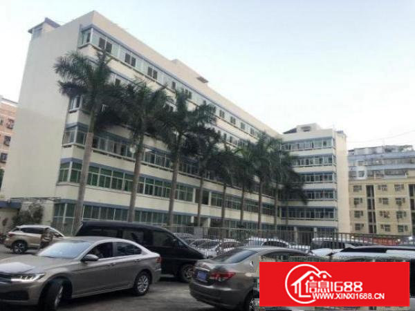 坂田坂雪岗主干道旁原房东1-6层8000平米带红本可分租