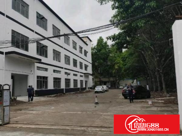 观澜新出独院厂房，停车位充足