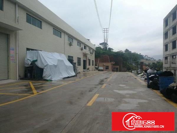 惠阳新圩可做污染钢构厂房1000平方