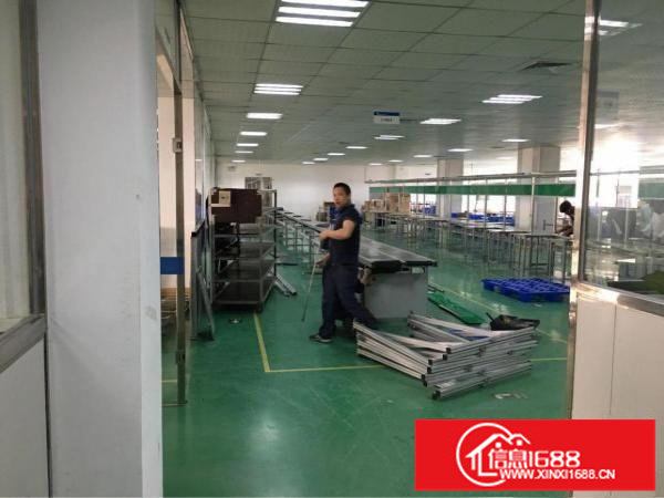 龙岗坪地1000平米带精装修厂房出租