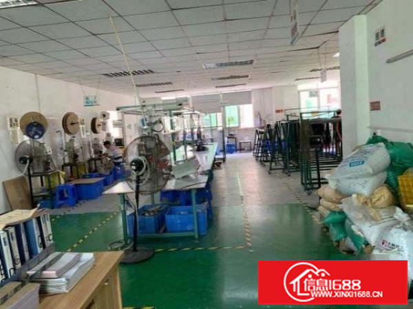 观澜新田原房东精装修厂房出租。