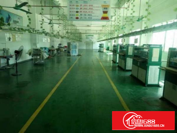 万江简沙洲标准厂房楼上1500平米厂房出租现成办公室