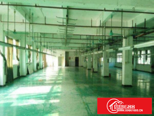 高埗独院标准一楼500-2000方厂房招租有现成装修水??电