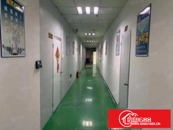 龙山工业区厂房仓库5200平方米出租可分租