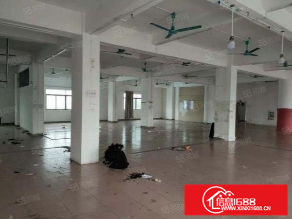 布料市场附近现成装修厂房急租！博美原房东厂房分租四楼650平