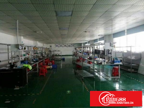 坂田上雪科技园三楼整层1280平