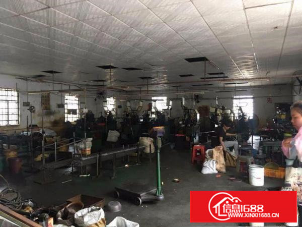 蛟乙塘800平方米单一层钢构厂房出租！！独立带厨房！自行管理