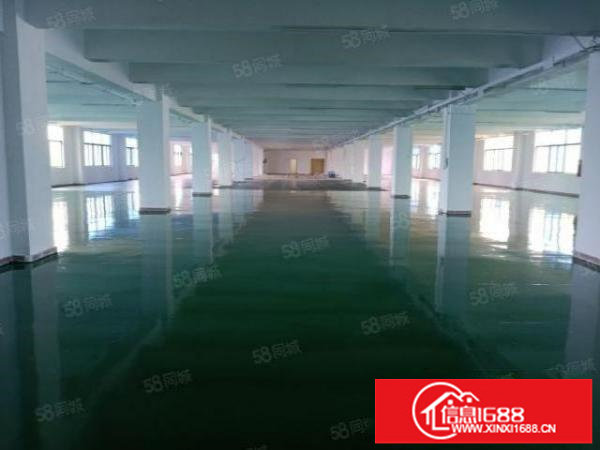 福永塘尾工业园精装修厂房出租2500平，超低价
