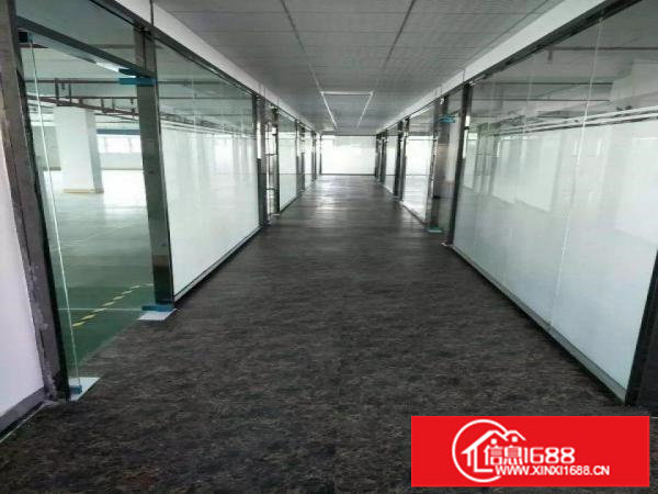 龙华大浪新百丽，服装基地附近，精装修，适合做电商