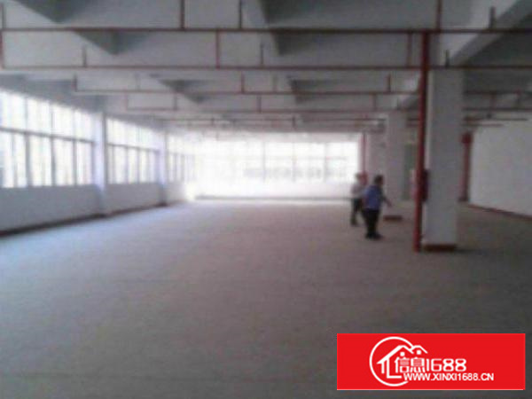 高埗.标准厂房楼上1000平超大超靓价格便宜消防喷淋