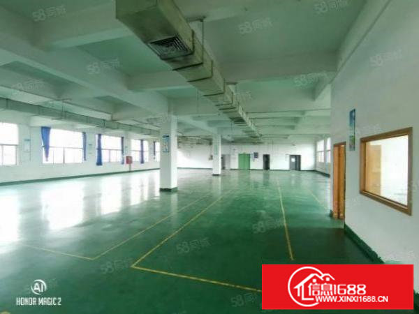 松岗独门独院，13层4500平。