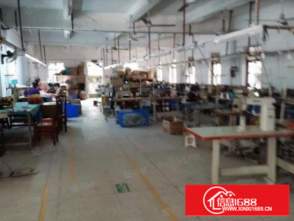 沙井新桥北环路1楼400平带办公室装修工厂生产仓库租1万