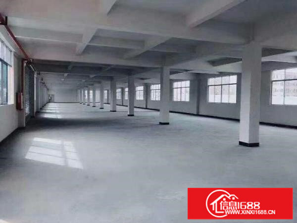 常平桥沥村花园式厂房4200平方（可分租），空地10000平