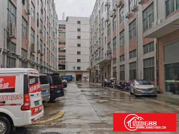 凤岗金凤凰工业区新出楼上