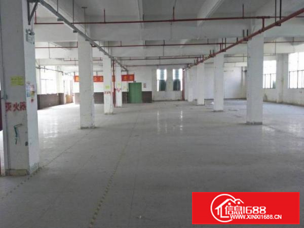 惠阳新圩11000平原房东独院厂房出租空地大可分租