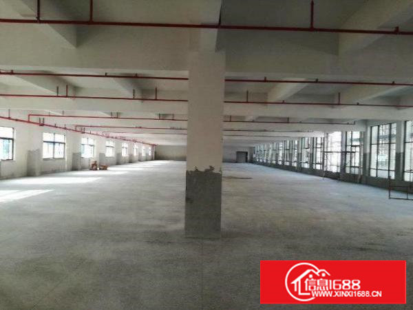 塘厦塘新独院厂房招租，优质厂房，每层2500，