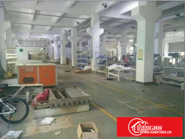 清溪青皇独院3800平形象好厂房招租可分租