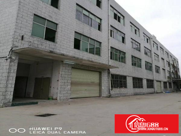 龙岗龙东2300出租